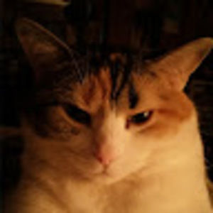 Meet your Posher, Sheri